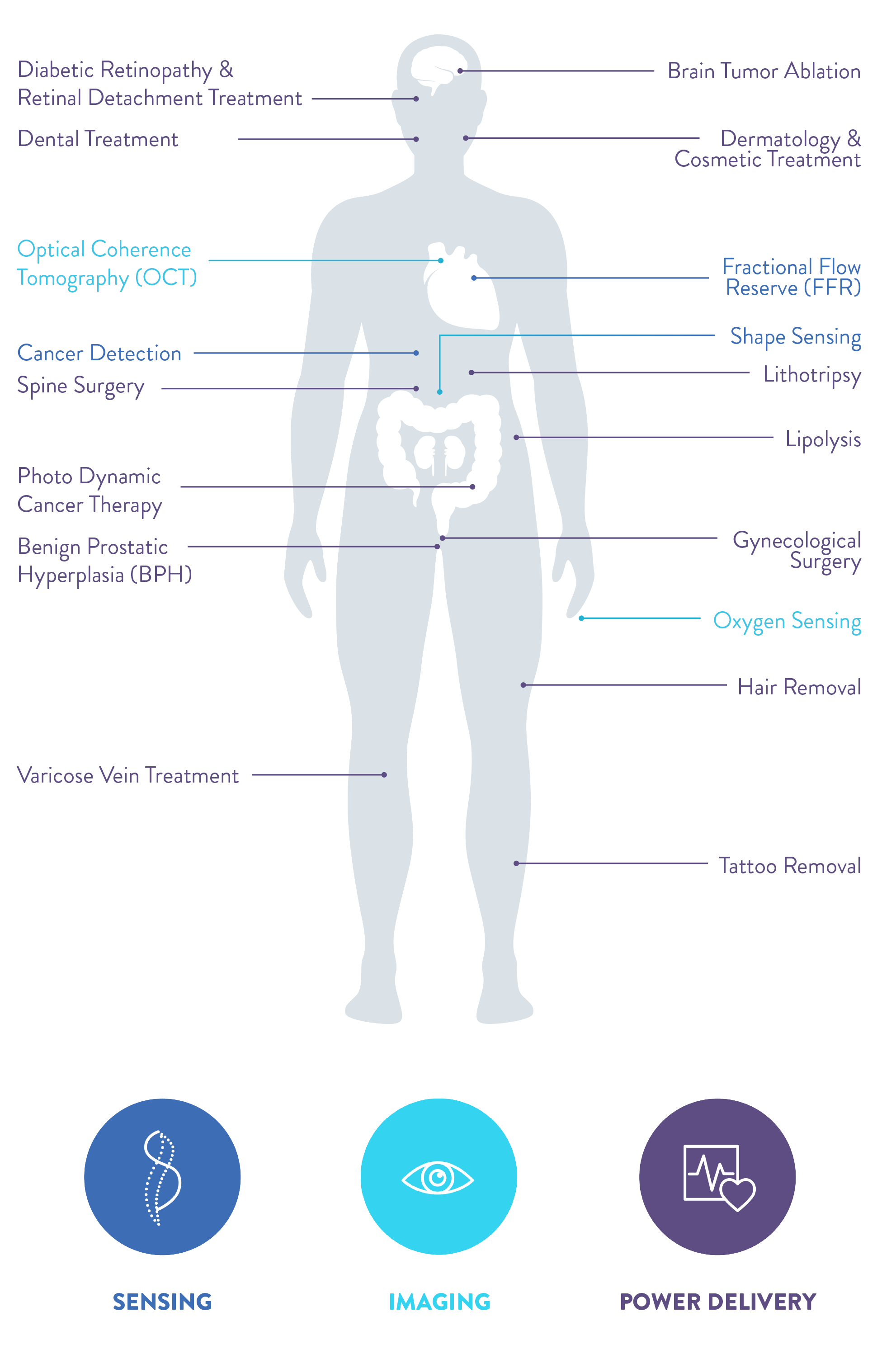 Graphic Showing some Medical Applications of Optical Fiber